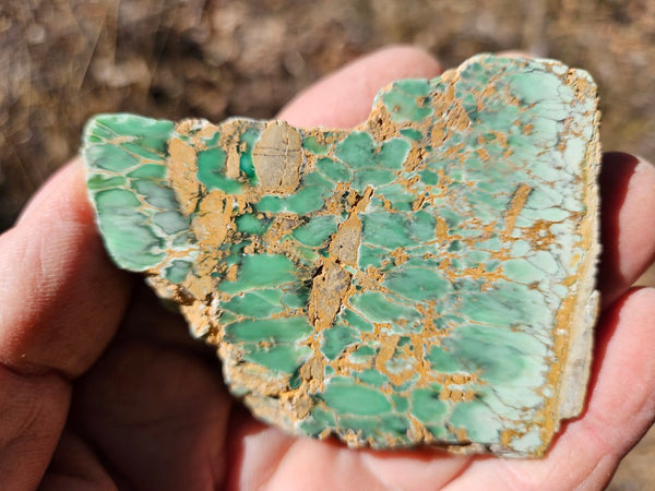 Variscite Polished Slab.  VP 288