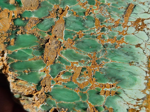 Variscite Polished Slab.  VP 288