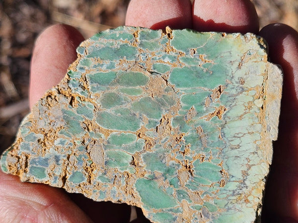 Variscite Polished Slab.  VP 288