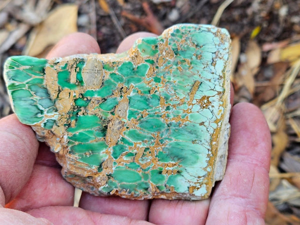 Variscite Polished Slab.  VP 288