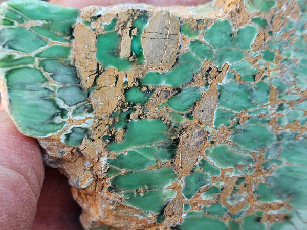 Variscite Polished Slab.  VP 288