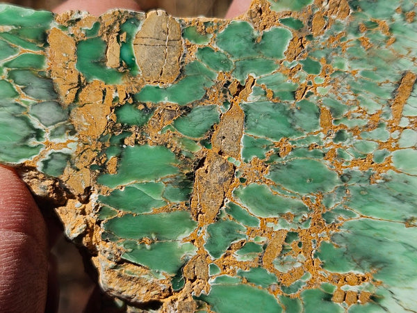 Variscite Polished Slab.  VP 288