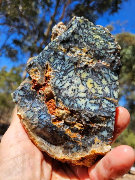 Dendritic Opal  rough.  DOR253