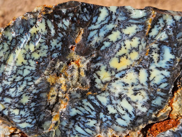 Dendritic Opal  rough.  DOR253