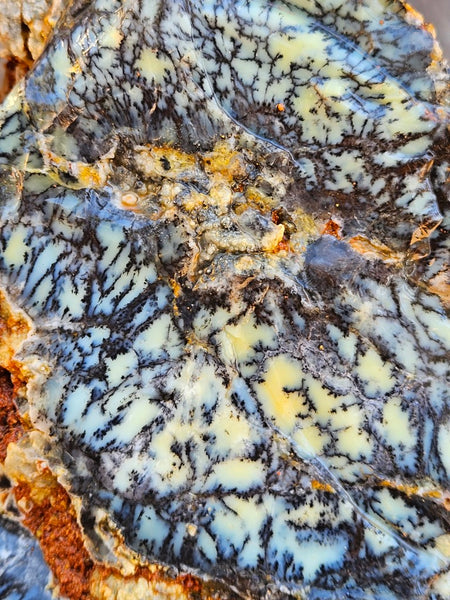 Dendritic Opal  rough.  DOR253