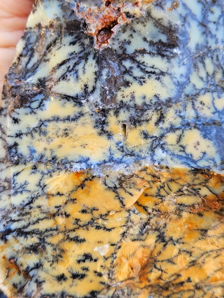 Dendritic Opal  rough.  DOR253