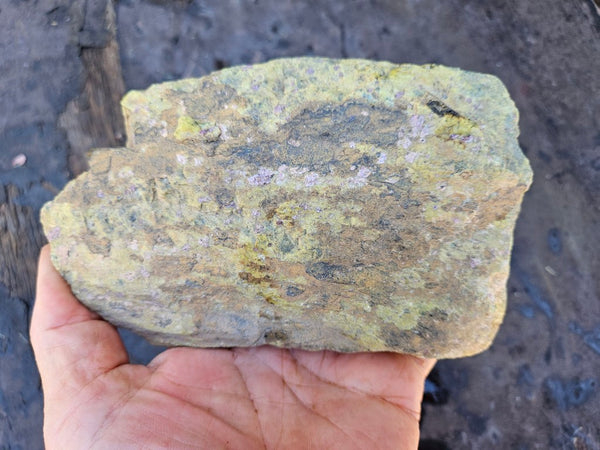 Rough Stichtite in Serpentine (Atlantisite) STR136