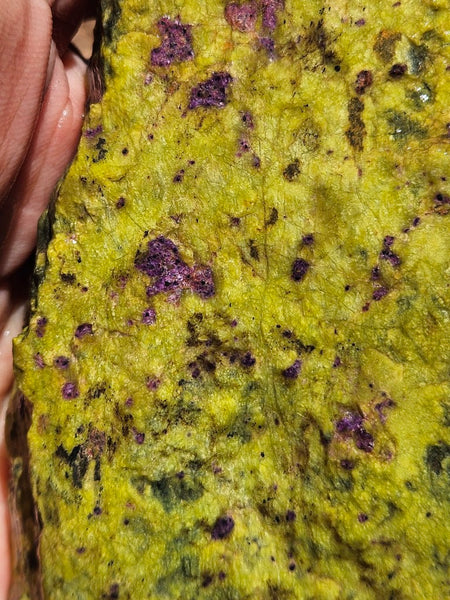 Rough Stichtite in Serpentine (Atlantisite) STR136