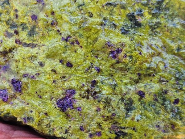 Rough Stichtite in Serpentine (Atlantisite) STR136