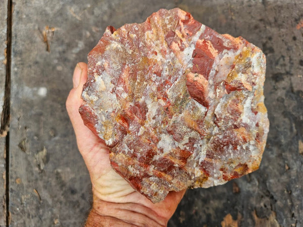 Snakeskin Jasper rough.  SSR 168