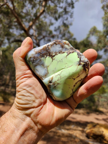 Tumble Polished Lime Magnesite ( Lemon Chrysoprase) LCT119