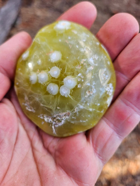 Tumble Polished Prehnite PRT109