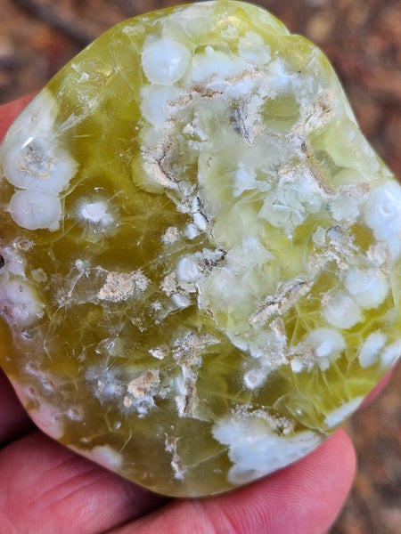 Tumble Polished Prehnite PRT109