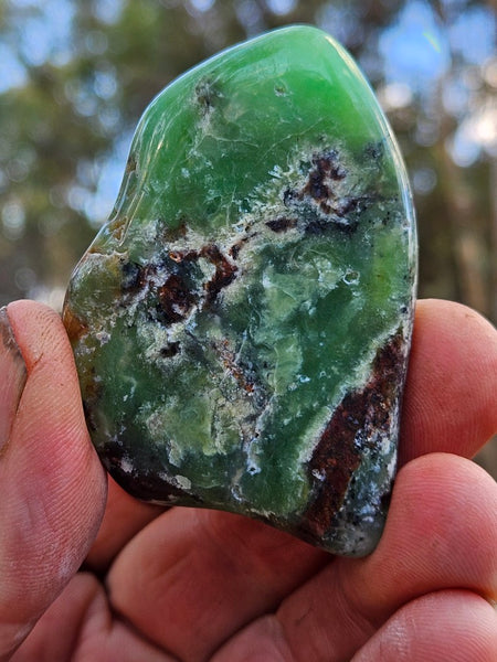 Tumble Polished Chrysoprase CHT158