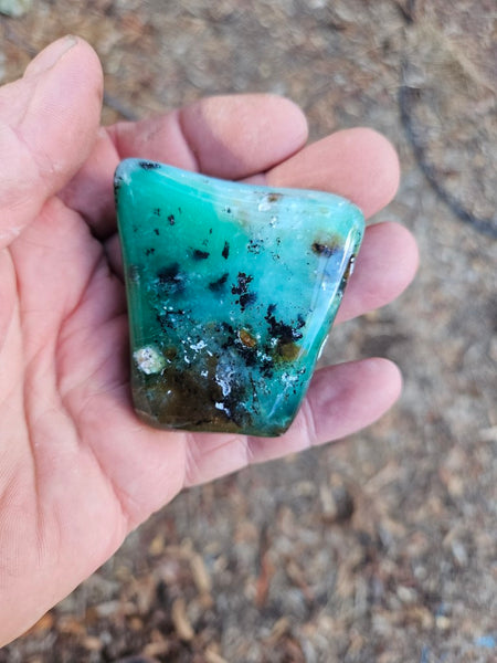 Tumble Polished Chrysoprase CHT159