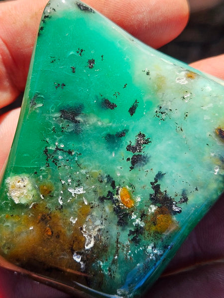 Tumble Polished Chrysoprase CHT159