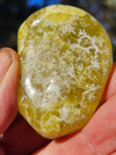 Tumble Polished Prehnite PRT110