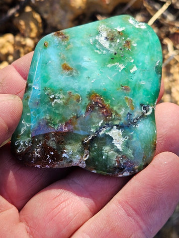 Tumble Polished Chrysoprase CHT160