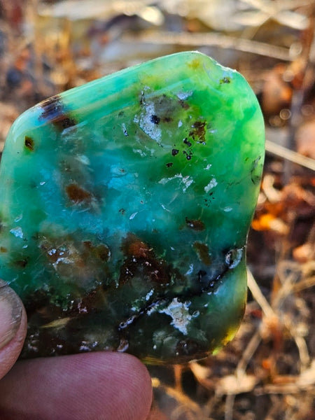 Tumble Polished Chrysoprase CHT160