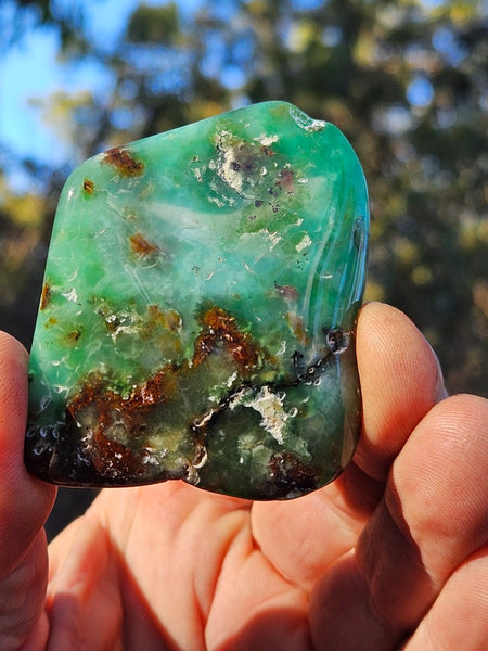 Tumble Polished Chrysoprase CHT160