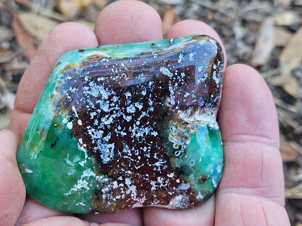 Tumble Polished Chrysoprase CHT160