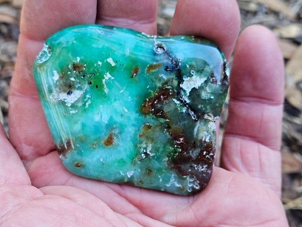 Tumble Polished Chrysoprase CHT160