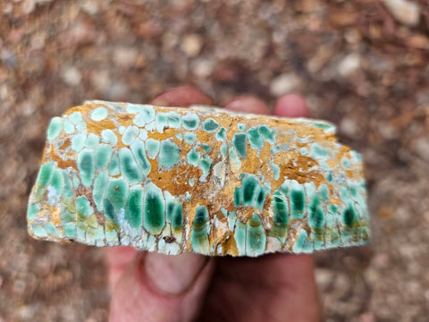 Variscite rough. VR577