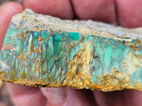 Variscite rough. VR576