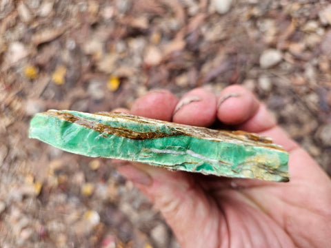 Variscite rough. VR575