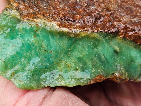 Chrysoprase rough.  CHR 191