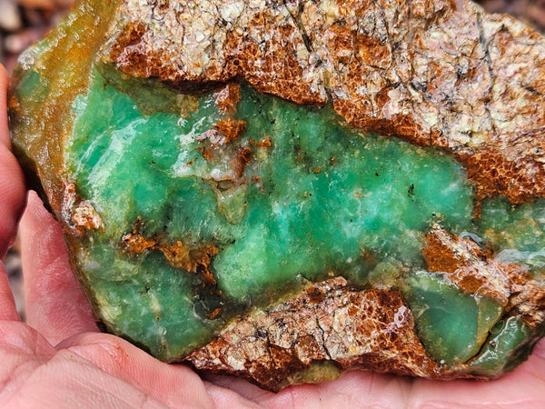 Chrysoprase rough.  CHR 191