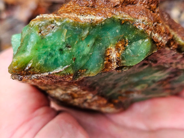 Chrysoprase rough.  CHR 191