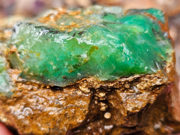 Chrysoprase rough.  CHR 193