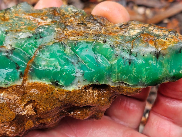 Chrysoprase rough.  CHR 193