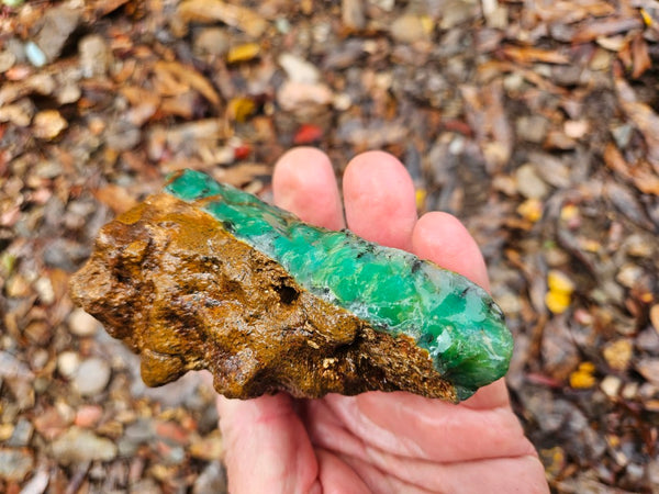 Chrysoprase rough.  CHR 193