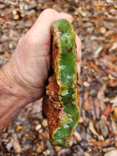 Chrysoprase rough.  CHR 194