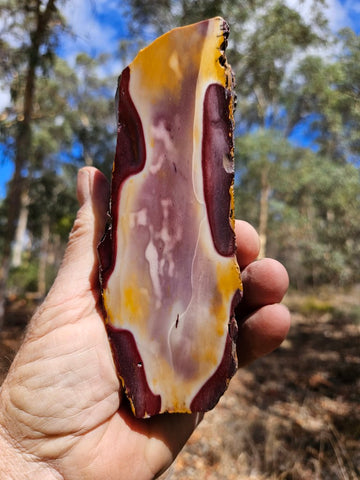 Polished Mookaite  MK537