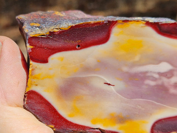 Polished Mookaite  MK537