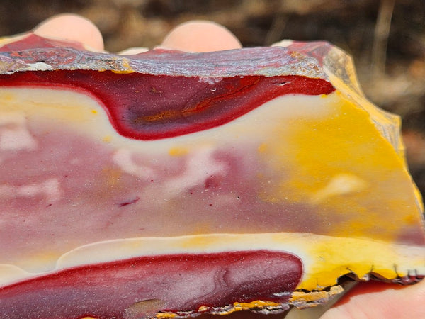 Polished Mookaite  MK537