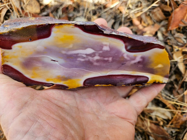 Polished Mookaite  MK537