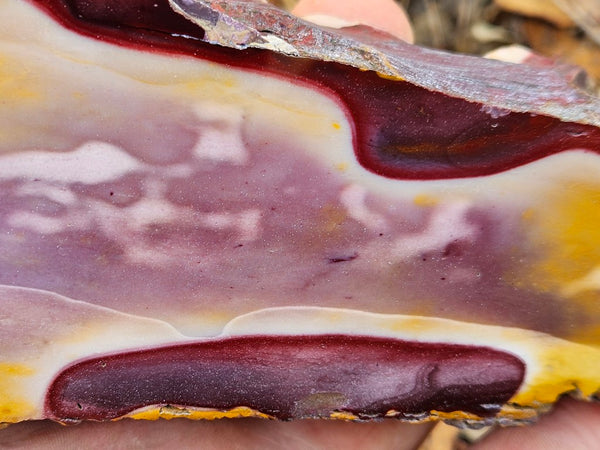 Polished Mookaite  MK537