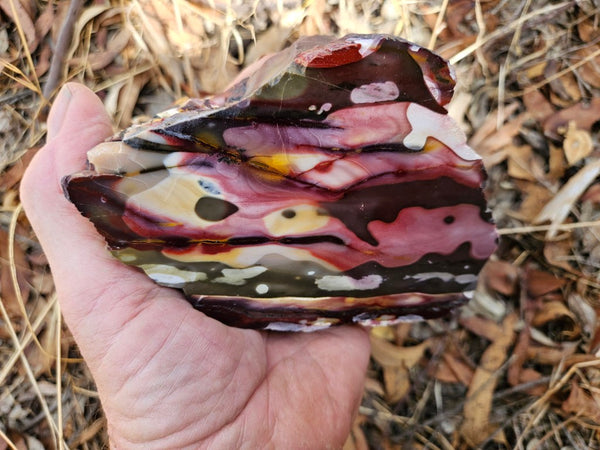 Polished Mookaite  MK536