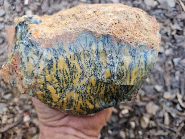 Dendritic Opal  rough.  DOR258