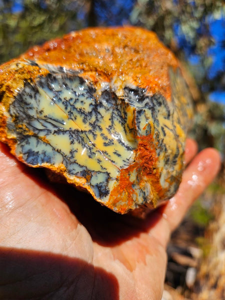 Dendritic Opal  rough.  DOR258