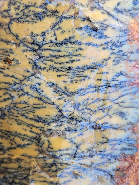 Dendritic Opal  rough.  DOR258