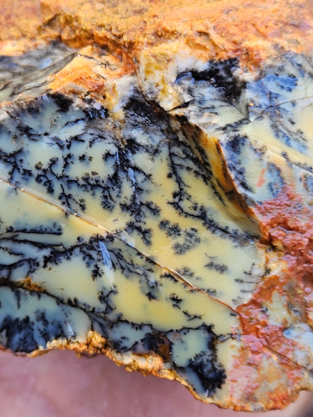 Dendritic Opal  rough.  DOR258