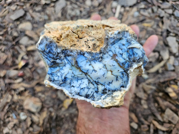 Dendritic Opal  rough.  DOR254