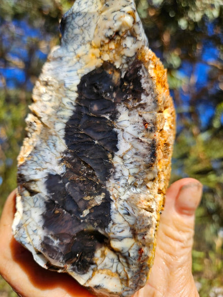 Dendritic Opal  rough.  DOR254