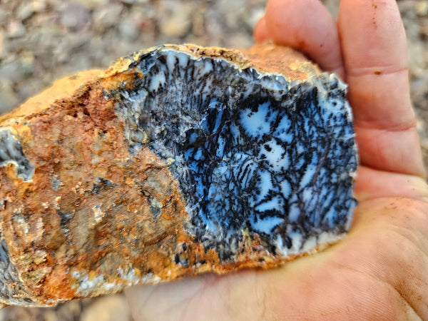 Dendritic Opal  rough.  DOR256