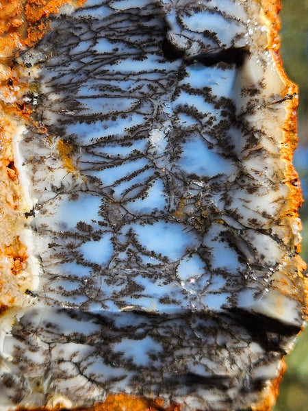 Dendritic Opal  rough.  DOR256